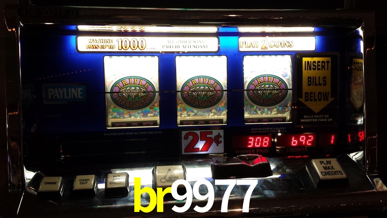 Experiência VIP br9977