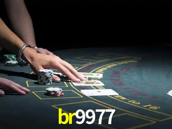 br9977 Salvador - Support