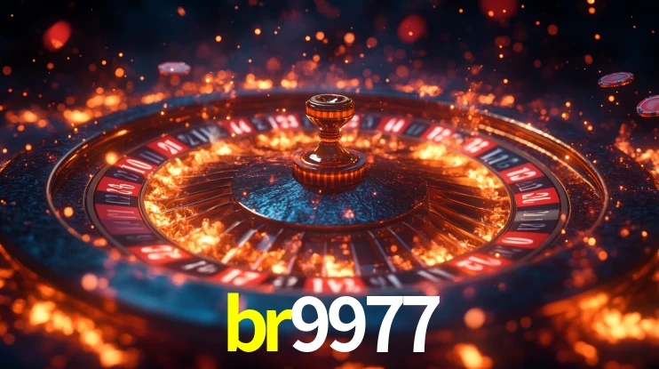 br9977 App Interface