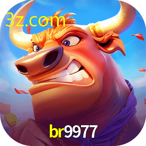 br9977.com
